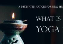 What is Yoga: Importance, Philosophy, History & Benefits [Infographics]