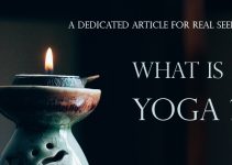 What is Yin Yoga? Ultimate Guide to Benefits and Practice to Get Start! -  Fitsri Yoga