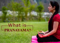 Introduction to Pranayama Yoga Breathing