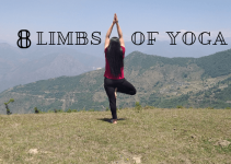 8 limbs of yoga