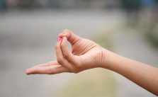 prana mudra