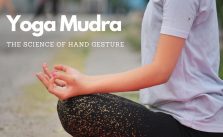 Yoga mudras