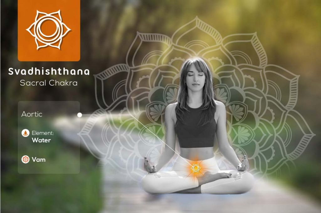 Svadhishthana or sacral chakra