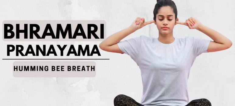 bhramari pranayama also known as humming bee breath