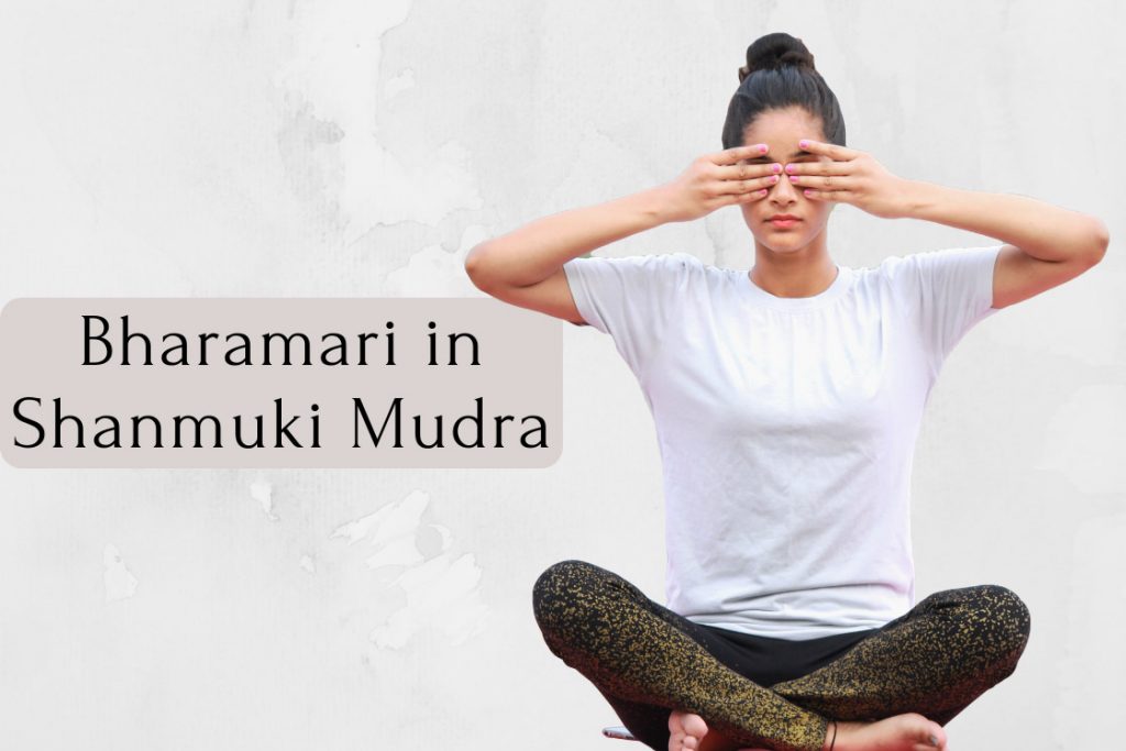 bhramari pranayama in shanmukhi mudra