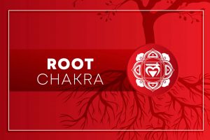 What is Root chakra? Symbol, Location, and Its Signs of Balanced & Imbalanced