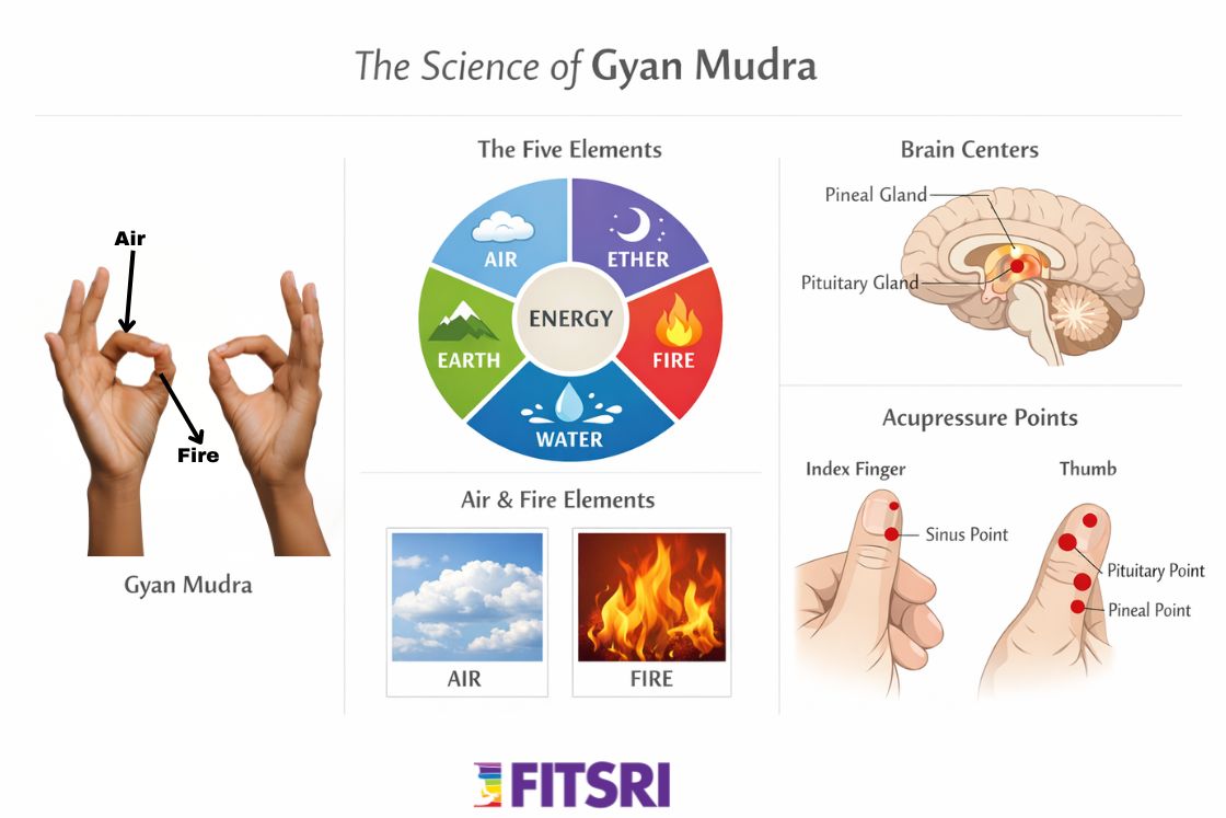Science of Gyan Mudra