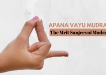 Apana Vayu Mudra for Heart: Benefits and Steps to Do It