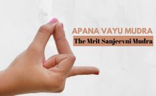 apana vayu mudra finger arrangement