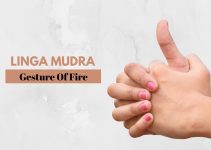 Linga Mudra: How to Do, Benefits, Precautions, and More