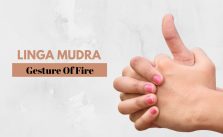 linga mudra finger arrangement