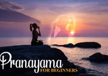 5 Pranayama for Beginners: How to Do & Benefits [Infographics Tips]