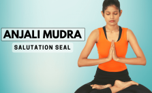 hands in anjali mudra