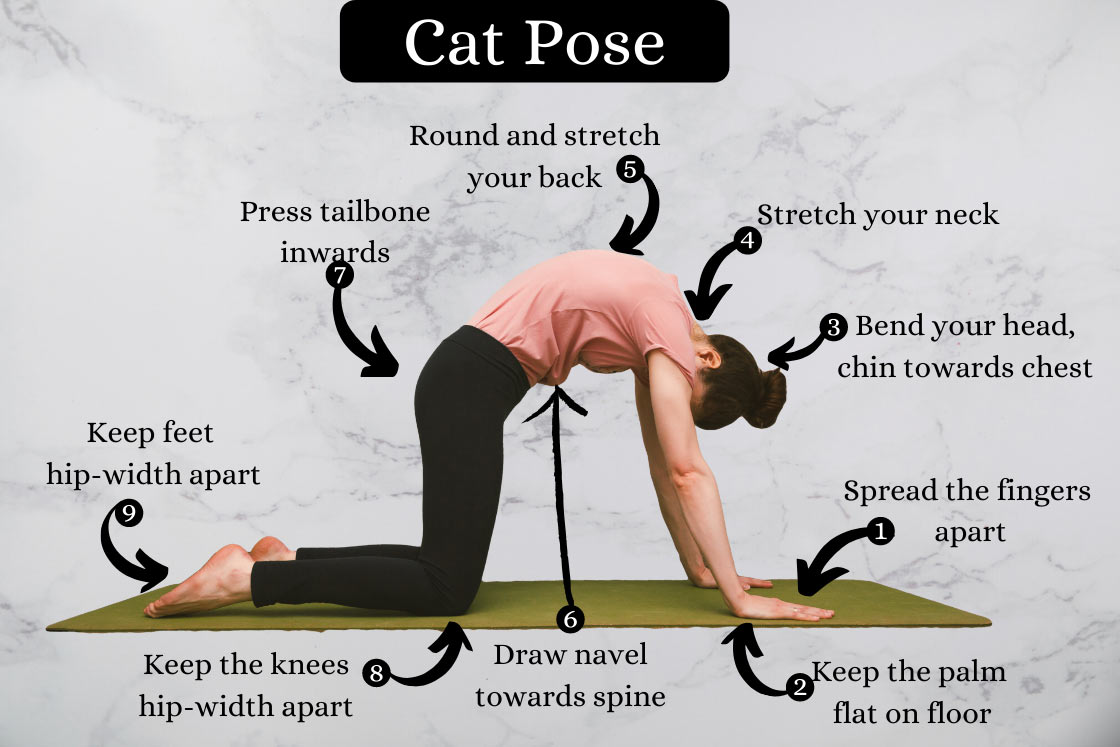 cat pose steps 