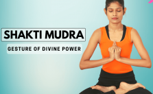 shakti mudra hands in yoga