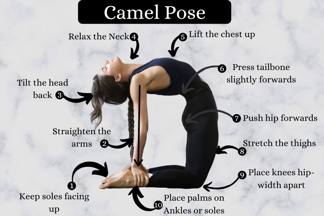 camel pose steps