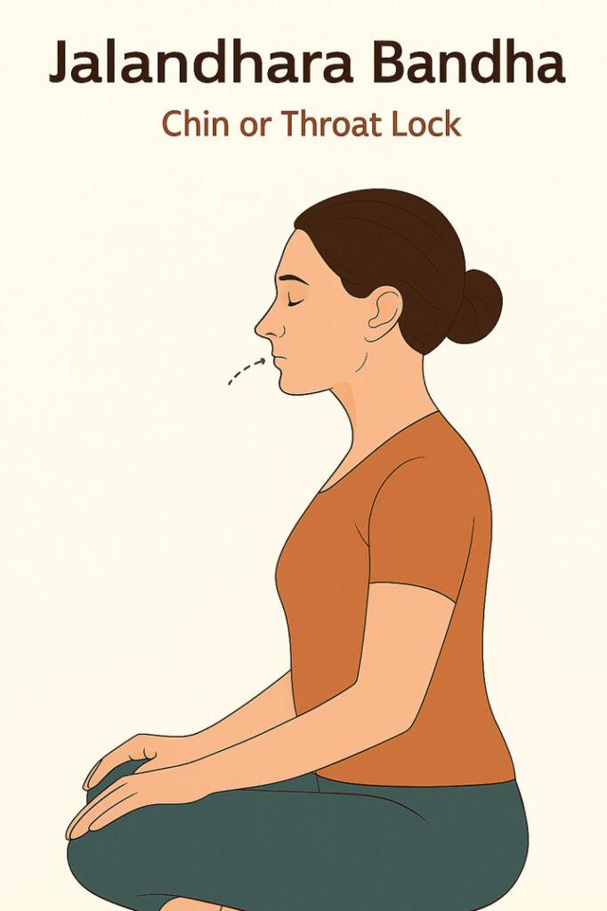 How to do jalandhara bandha(throat lock)