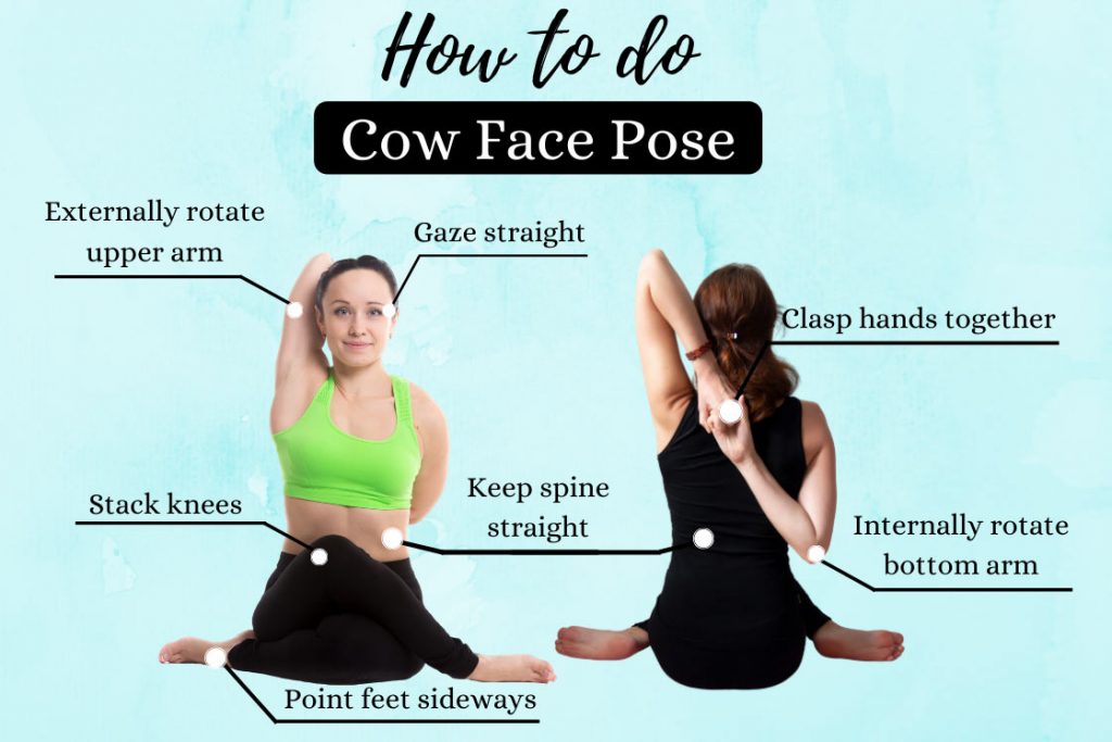 Beautiful Sporty Yogi Girl Practices Yoga Asana, Gomukhasana, Cow Face Pose,  Pose Of The Cow, Sitting Cross-legged Stock Photo, Picture and Royalty Free  Image. Image 35465054.