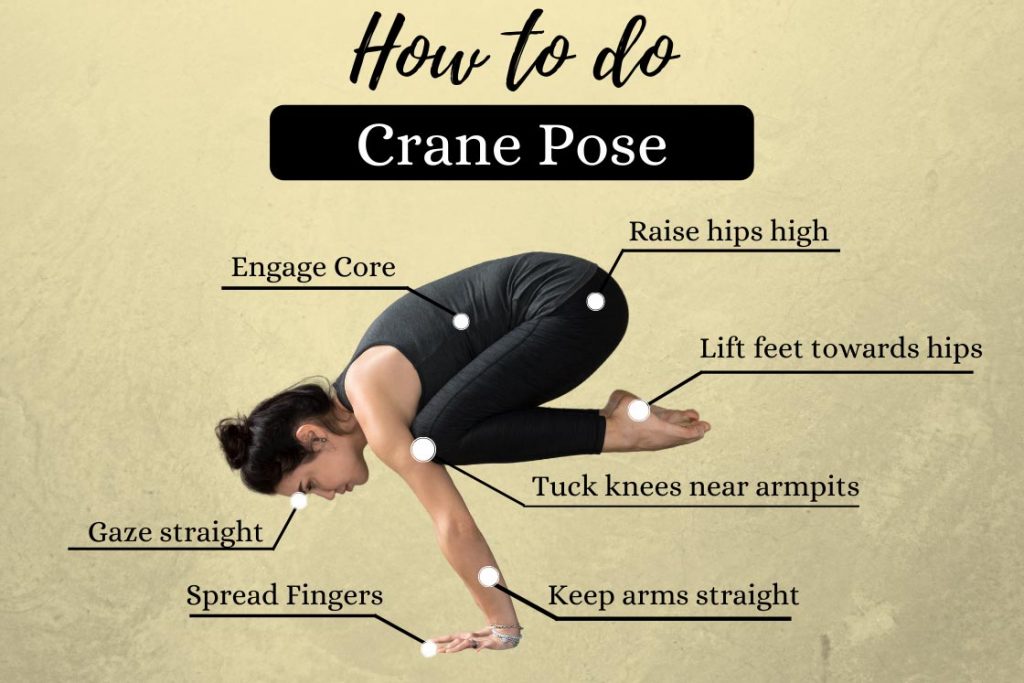 crane pose instructions