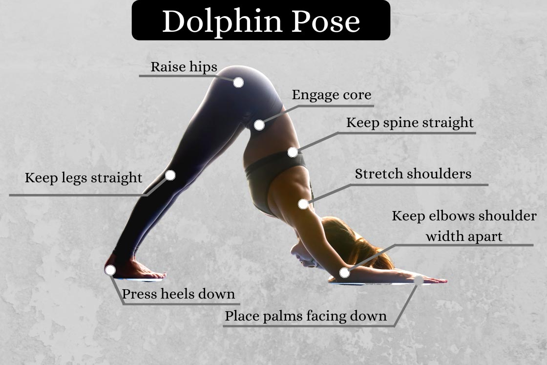 dolphin pose instructions