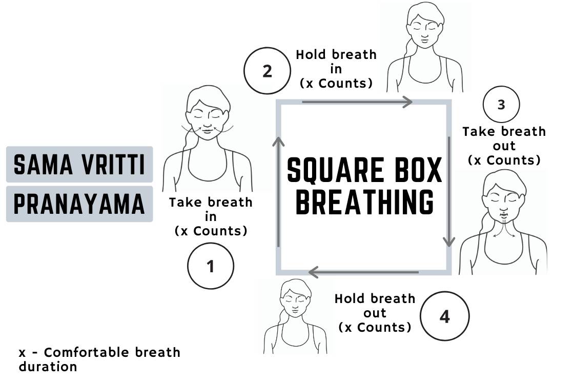 sama vritti pranayama cycle