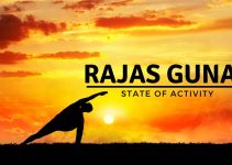 rajas guna - state of activity