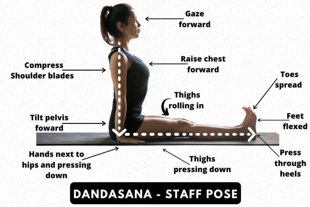 Dandasana(Staff Pose) | Poses, Back muscles, Workout