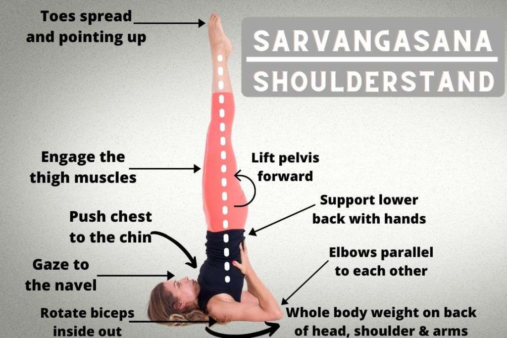 how to do sarvangasana