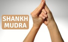 shankh mudra - conch shell gesture