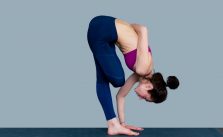 ardha baddha padmottanasana (half bound lotus forward fold)