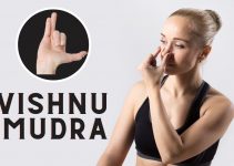 Vishnu Mudra or Mrigi Mudra: Meaning, How to Do & Benefits