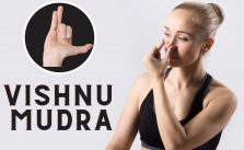 vishnu mudra