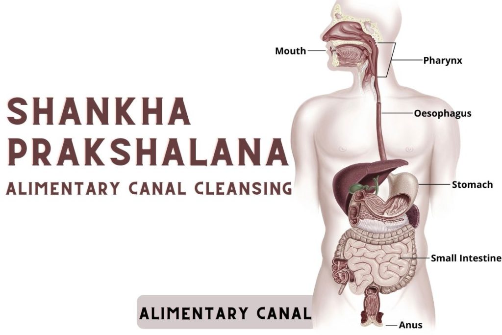 Shankha Prakshalana Kriya