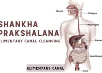 Shankha Prakshalana Kriya: Procedure, Asanas, Precautions & Benefits