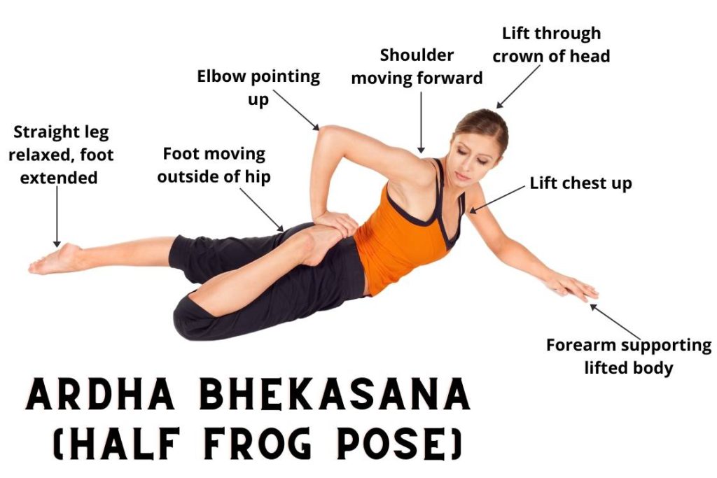 ardha bhekasana practicing cues