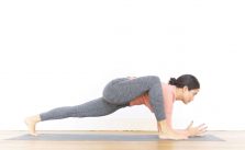 uttan pristhasana (lizard pose)