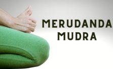 merudanda mudra