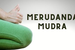 merudanda mudra