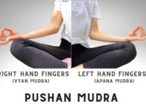 Pushan Mudra (Digestion Gesture): Procedure, Variant, Benefits