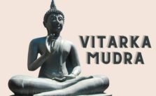 vitraka mudra