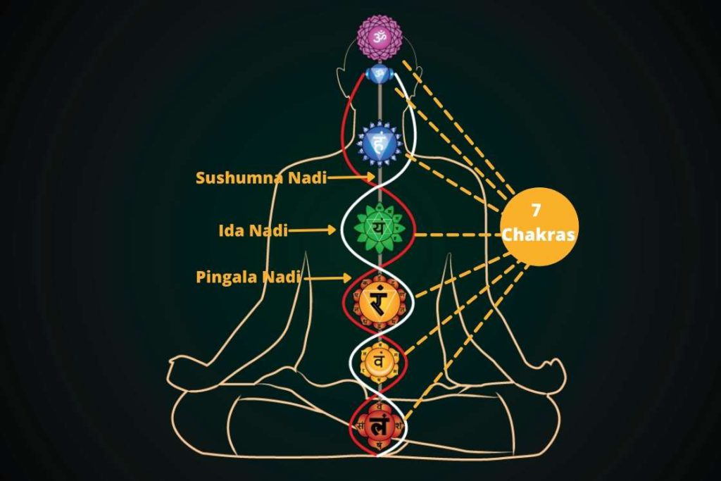 3 main nadis and 7 chakras