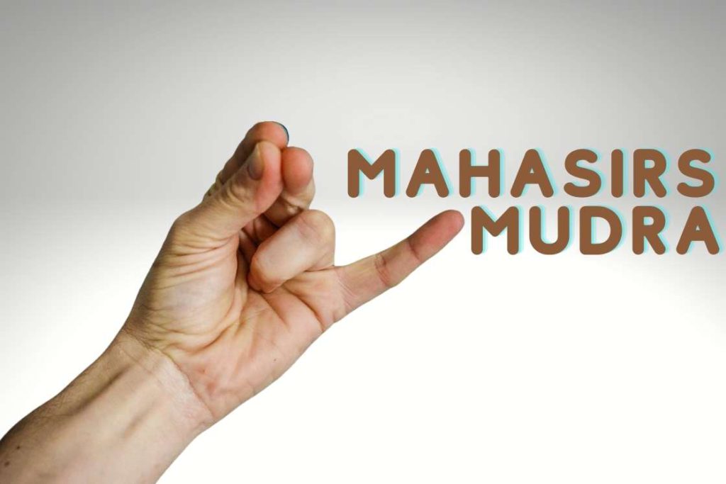 Mahasirs Mudra