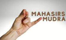 Mahasirs Mudra