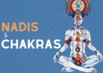 Nadis and Chakras: Working Mechanism of Subtle Body