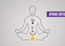 Apana Vayu: Imbalance Symptoms and How to Balance It