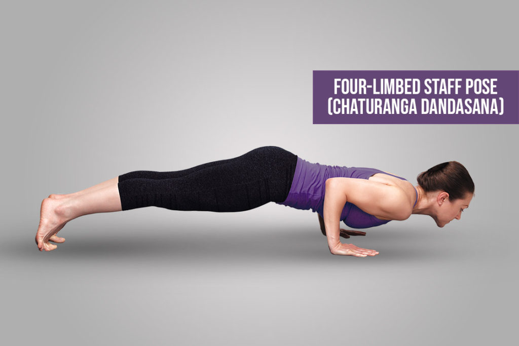 Four-Limbed-Staff-Pose