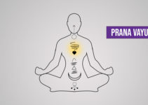 What is Prana Vayu? Imbalance Symptoms and How to Balance It