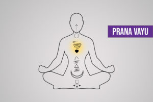 What is Prana Vayu? Imbalance Symptoms and How to Balance It