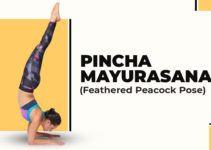 Pincha Mayurasana (Feathered Peacock Pose): Steps, Benefits, Variations