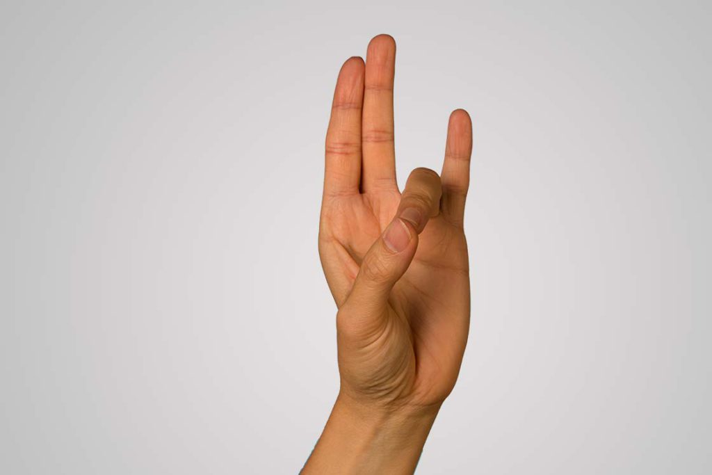 Prithvi Mudra